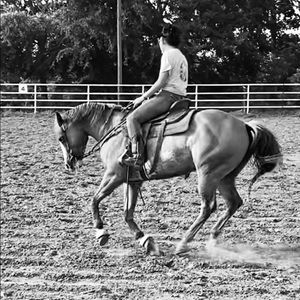 Meet your Posher, Lexie